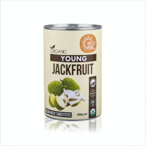 wholesale organic jackfruit