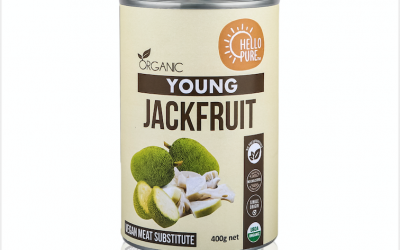 Wholesale Organic Young Jackfruit