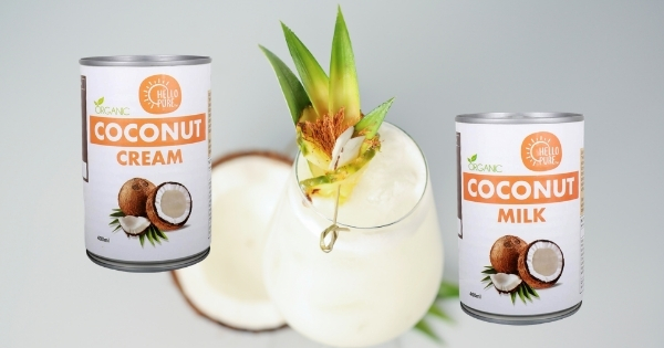 Vegan Coconut Milk Products 